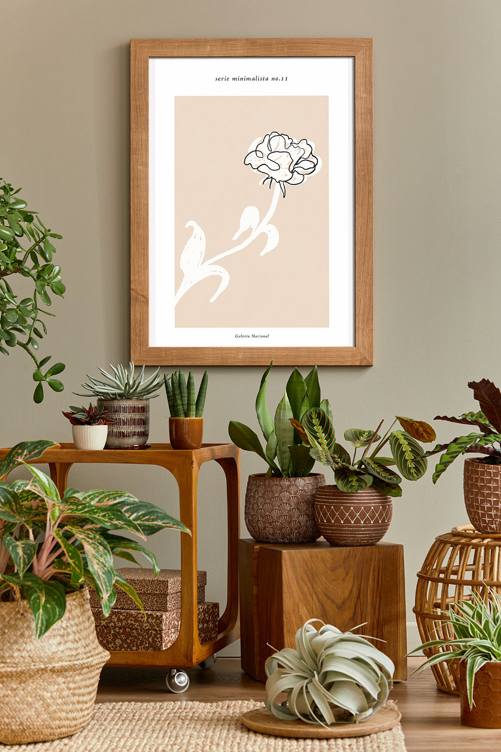 Bild einer Blume Serie minimalista no.11 Froilein Juno